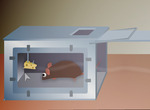 Room-escape-con-il-mouse
